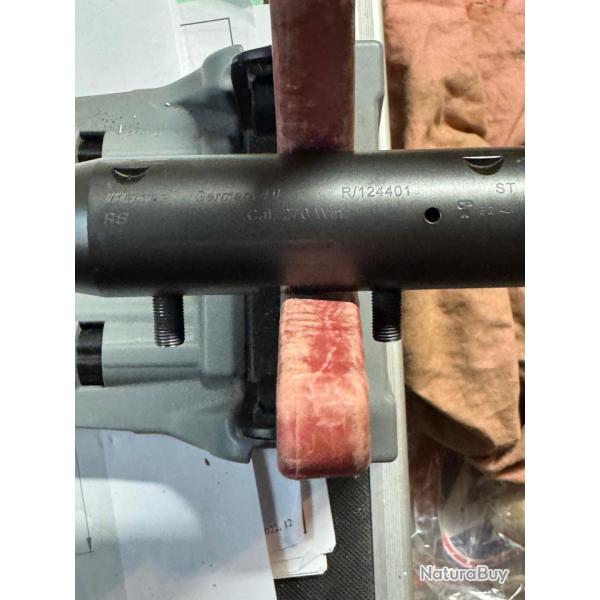 Canon Blaser R8, filet� 15:100, calibre 270 Winchester