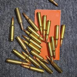 Munitions 222 Duvers marques - 50g - Sachet de 23 Balles