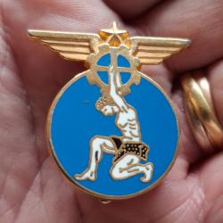 INSIGNE ENTREPOT ARMEE DE L' AIR 603 ( BALLARD )