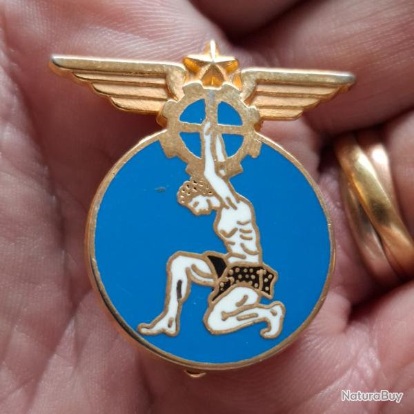 INSIGNE ENTREPOT ARMEE DE L' AIR 603 ( BALLARD )