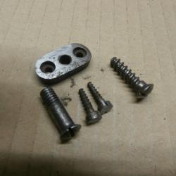 visses et plaque de fixation pontet de carabine gras