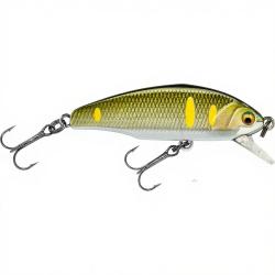 Poisson nageur SMITH D Incite 64 08
