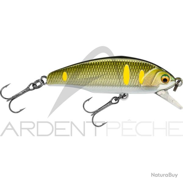 Poisson nageur SMITH D Incite 64 08