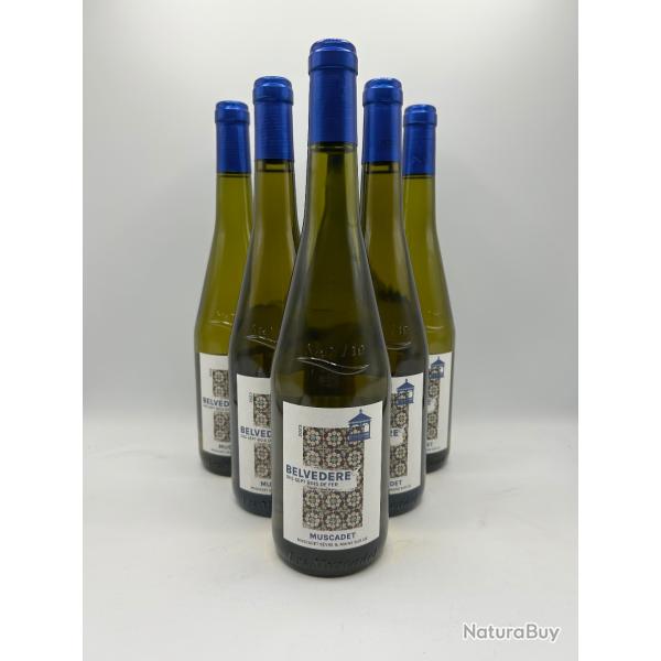 2023 Belvedere Muscadet Vin Blanc - 1� - Sans Prix R�serve - 6 Bouteilles