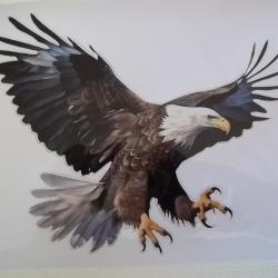 Autocollant vinyle 1