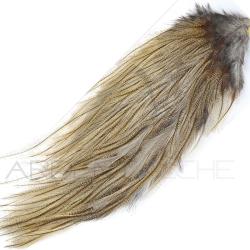 Demi-croupe DEVAUX Pardo claire