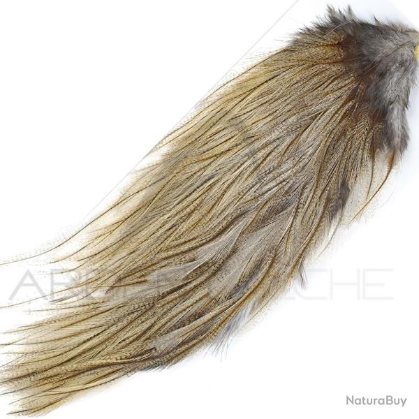 Demi-croupe DEVAUX Pardo claire