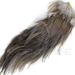 Demi-cou DEVAUX Pardo fonc&eacute;