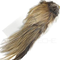 Demi-cou DEVAUX Pardo badger