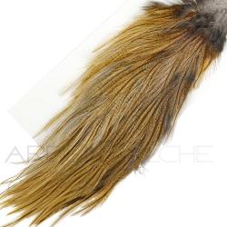 Demi-croupe DEVAUX Pardo ginger