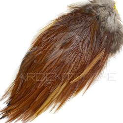 Demi-croupe DEVAUX Pardo indio roux