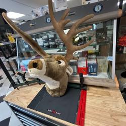 Peluche troph&eacute;e