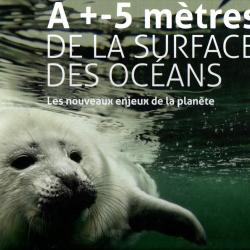 &agrave; + ou - 5 m&egrave;tres de la surface des oc&eacute;ans les nouveaux enjeux de la plan&egrave;te bunni et grundmann