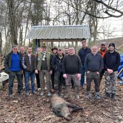 Chasse priv&eacute;e 71 recherche soci&eacute;taires post&eacute;s pour battue organis&eacute;e grand gibier