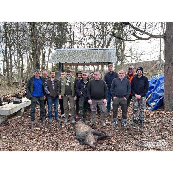 Chasse priv�e 71 recherche soci�taires post�s pour battue organis�e grand gibier