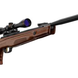 Carabine &agrave; air comprim&eacute; Beeman mod&egrave;le 10620 4.5mm 19.9J