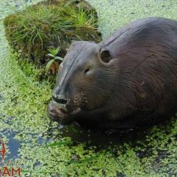 NATURFOAM - RAGONDIN