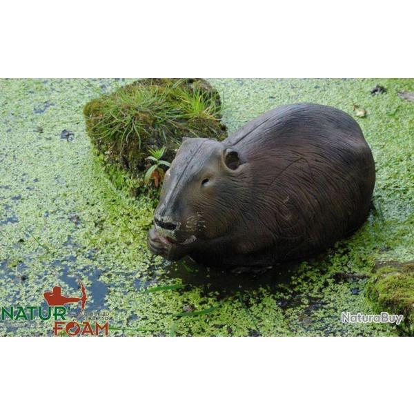 NATURFOAM - RAGONDIN