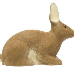 SRT - LAPIN