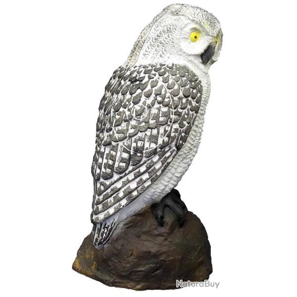 SRT - CHOUETTE BLANCHE