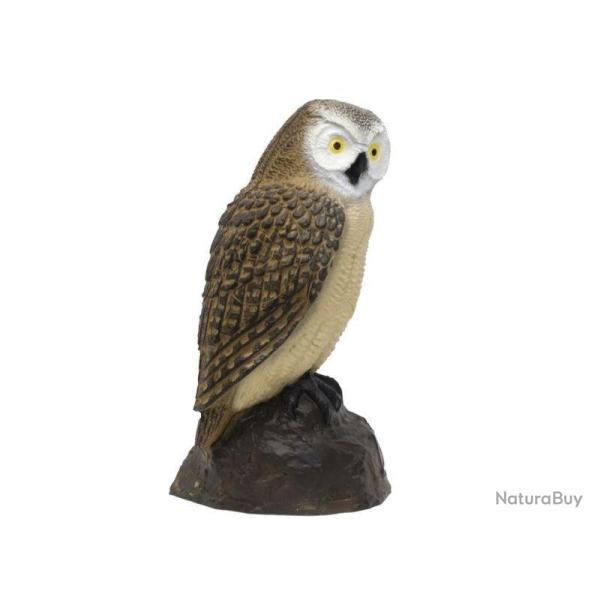 SRT - CHOUETTE BRUNE