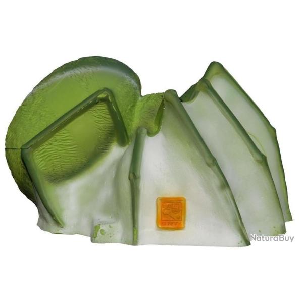 SRT - ARAIGN�E VERTE