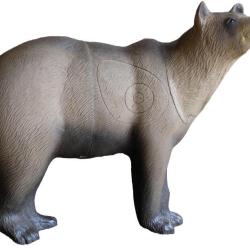 SRT - Ours Brun En Marche