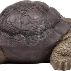 BOOSTER - TORTUE