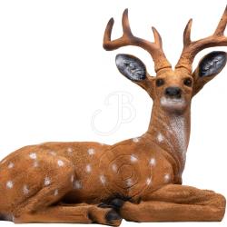 BOOSTER - CERF ASSIS