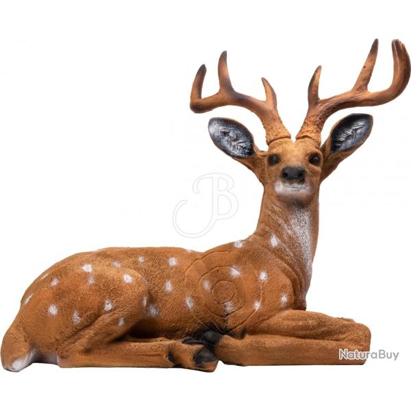 BOOSTER - CERF ASSIS