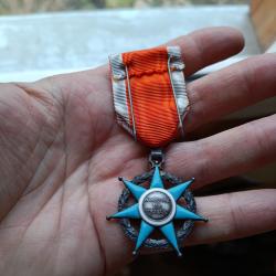 M&eacute;daille du m&eacute;rite social