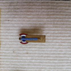 Insigne de vichy tous avec vous