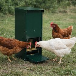Mangeoire anti-nuisible 12 kg thermolaqu&eacute;e vert
