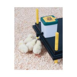 Abreuvoir &agrave; pipette poussins et cailles 0,5 L Olba