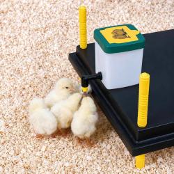 Abreuvoir &agrave; pipette poussins et cailles 1 L accroche cage