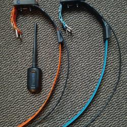 2 colliers GPS + dressage + centrale Pathfnder 1