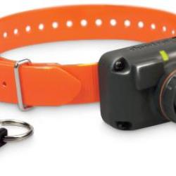 BEEPER DOGTRA HAWK HIGH