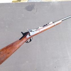 Springfield trapdoor 1873 cavalerie 45-70