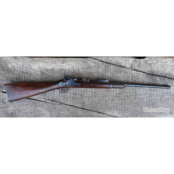 Springfield trapdoor 1873 cavalerie 45-70