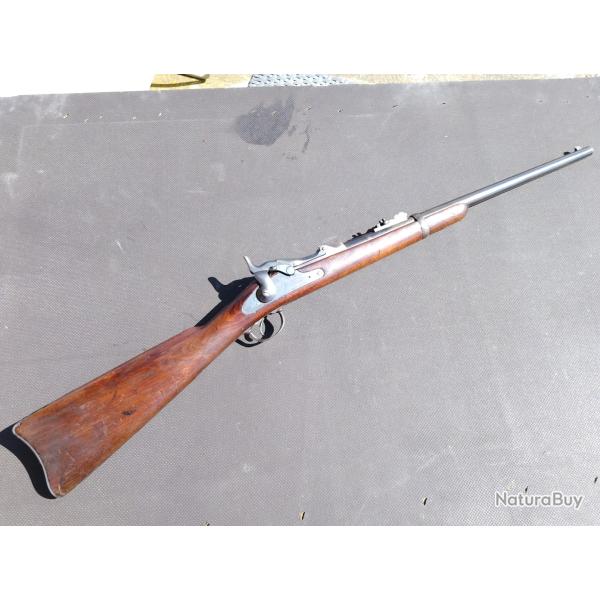 Springfield trapdoor 1873 cavalerie 45-70