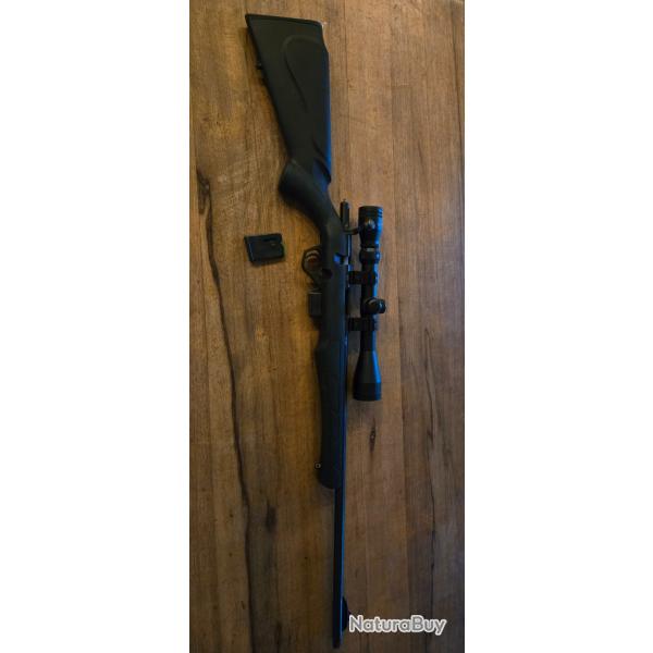 Carabine rossi 8117 17 hmr