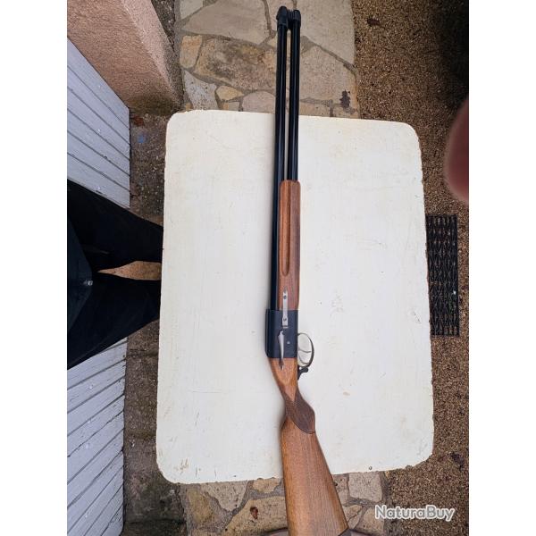 � saisir Baby bretton b�cassier