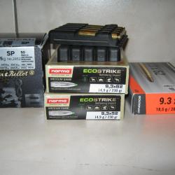 balle de carabine 9,3x62