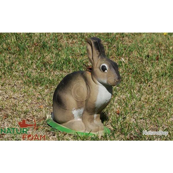 NATURFOAM - LAPIN ASSIS 1