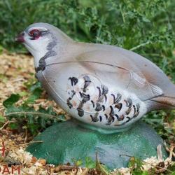 NATURFOAM - BARTAVELLE