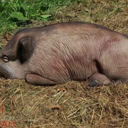 NATURFOAM - SANGLIER COUCHE