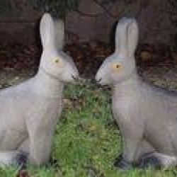 NATURFOAM -&nbsp;LI&Egrave;VRE ASSIS