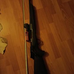 Carabine Beretta BRX1 56 CSMPossible sans le point rouge HS510C 2 MOA