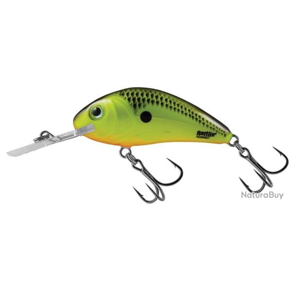 Poisson Nageur Salmo Rattlin Hornet Flottant 5,5cm CS - Chartreuse Shad
