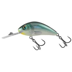 Poisson Nageur Salmo Rattlin Hornet Flottant 5,5cm GBH - Green Back Herring